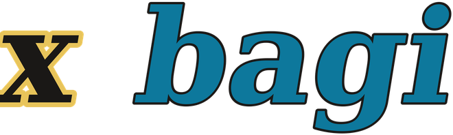 x bagi logo